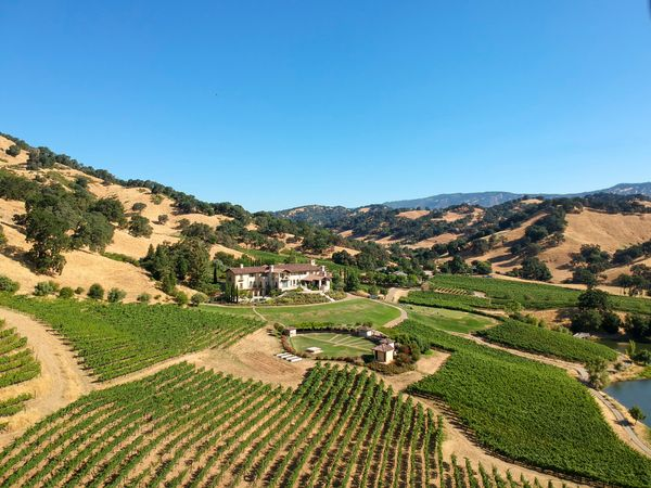 Hestan Vineyards located on Napa Valley’s